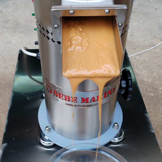 SEBE DPM80 Dikey Püre Makinesi